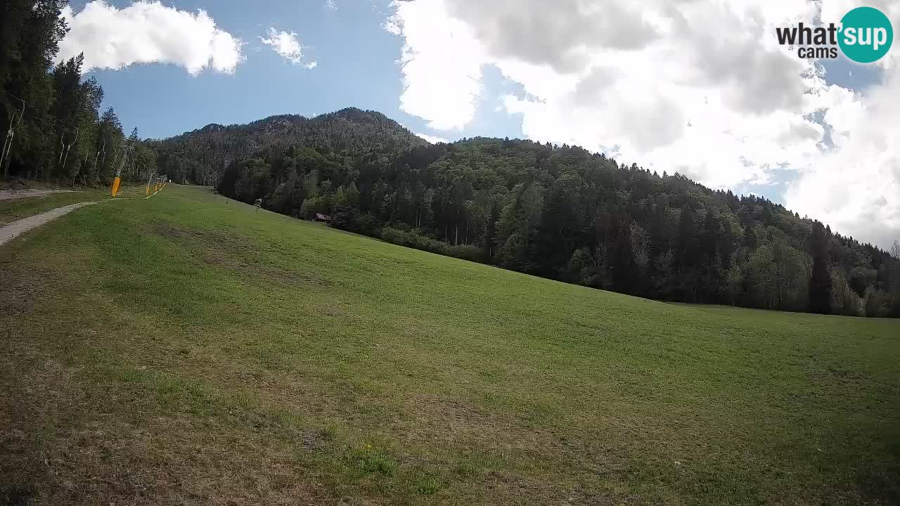 RTC Kranjska Gora | Brsnina