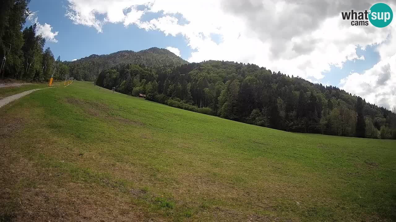 RTC Skigebiet Kranjska Gora | Brsnina