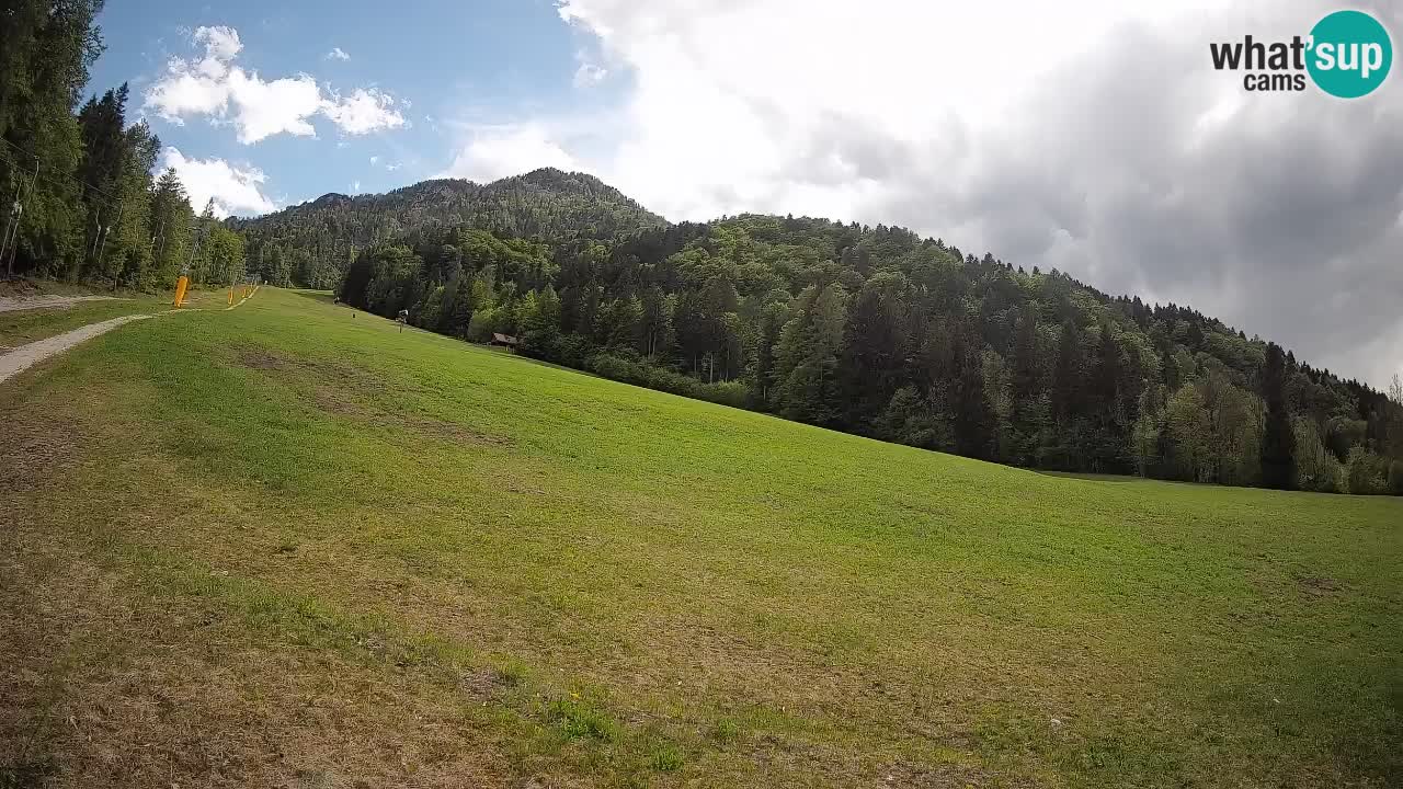 RTC Kranjska Gora | Brsnina