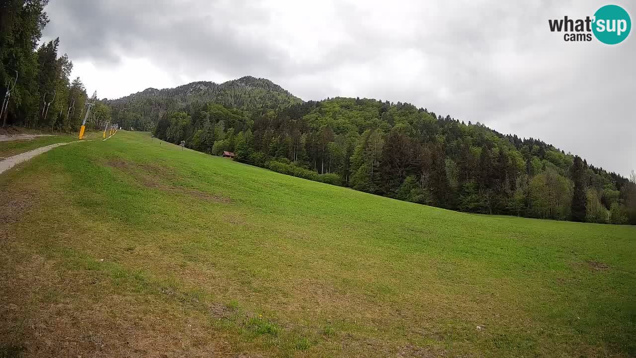 Kranjska Gora Station de ski | Brsnina