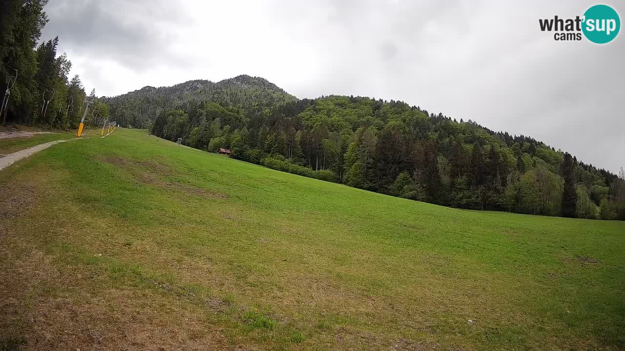 Kranjska Gora SKIJANJE | Brsnina