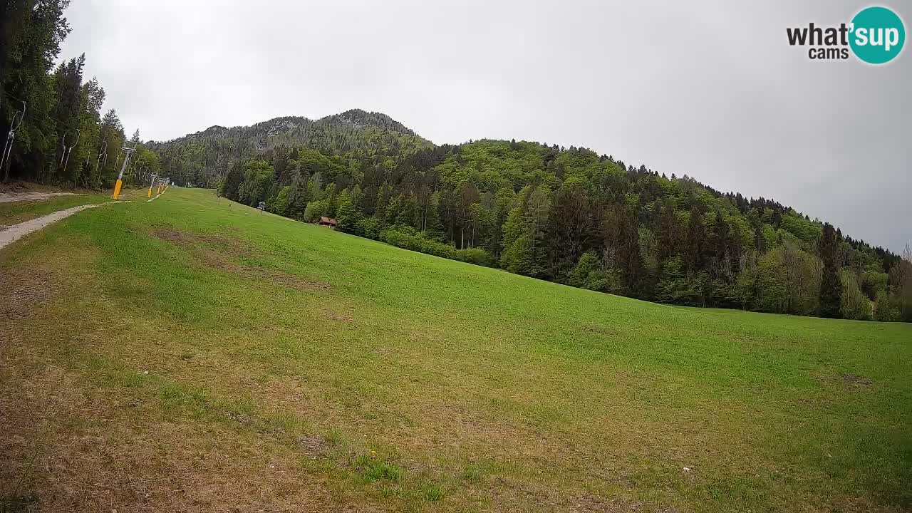 Comprensorio sciistico Kranjska Gora | Brsnina