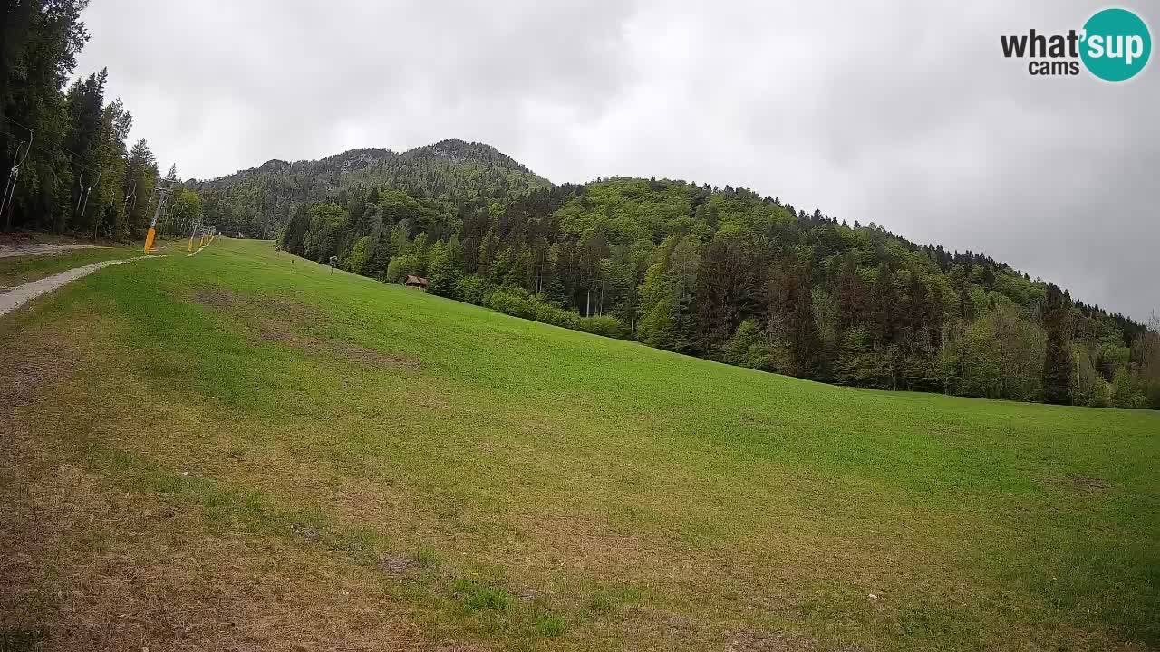 RTC Skigebiet Kranjska Gora | Brsnina