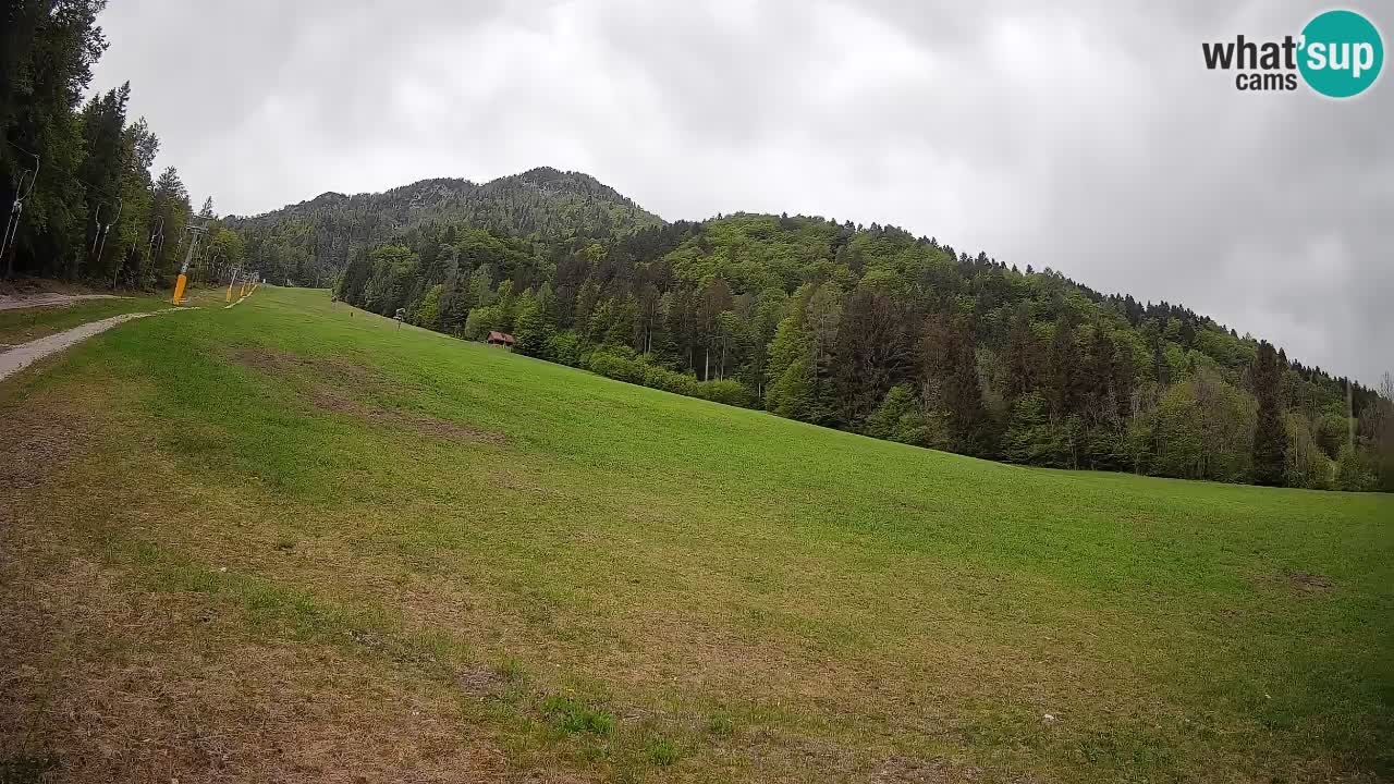 Esquí Kranjska Gora | Brsnina