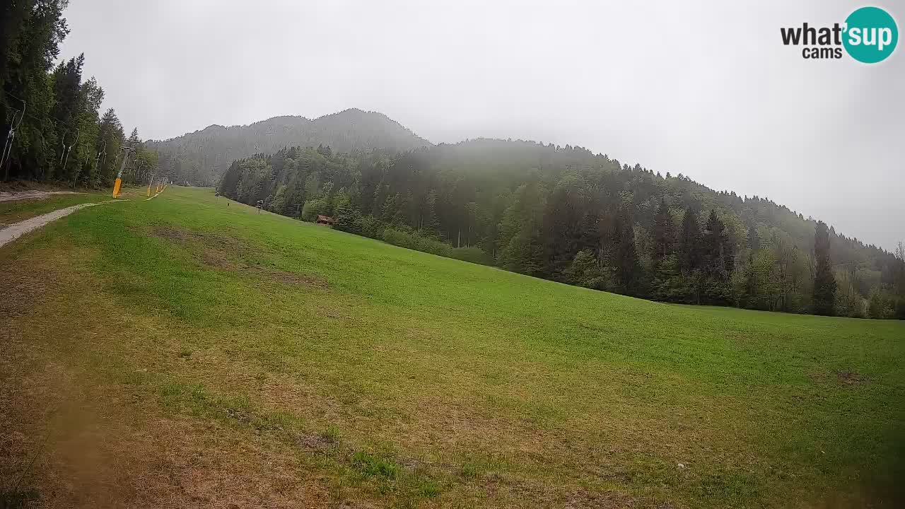 Ski Kranjska Gora | Brsnina