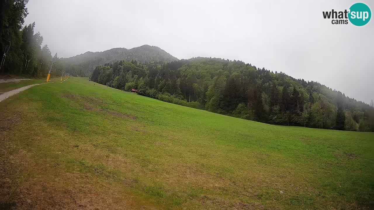 Kranjska Gora SKIJANJE | Brsnina