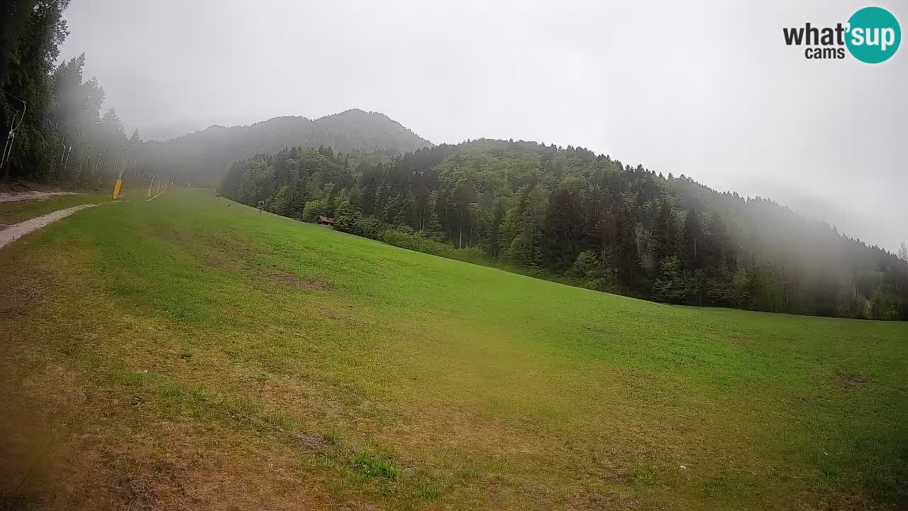 Ski Kranjska Gora | Brsnina