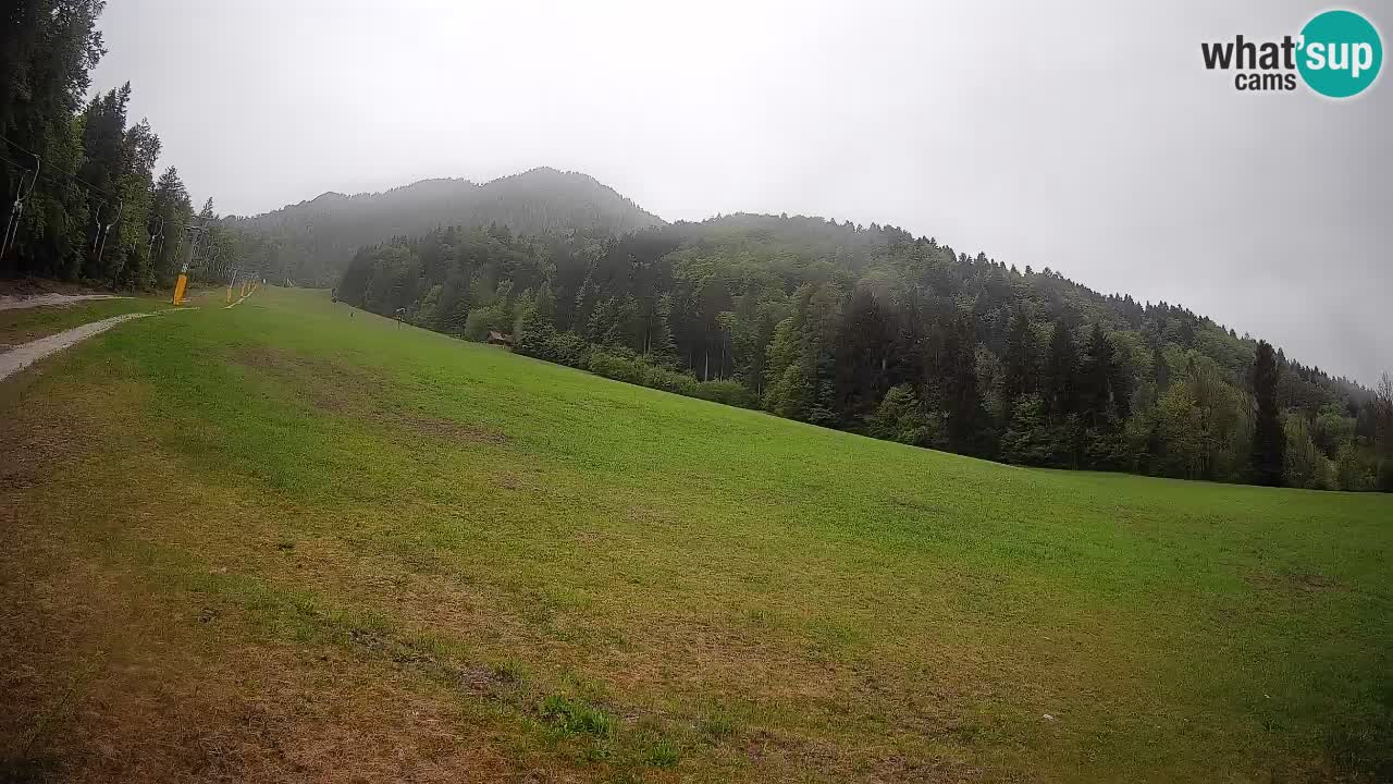 Kranjska Gora SKIJANJE | Brsnina