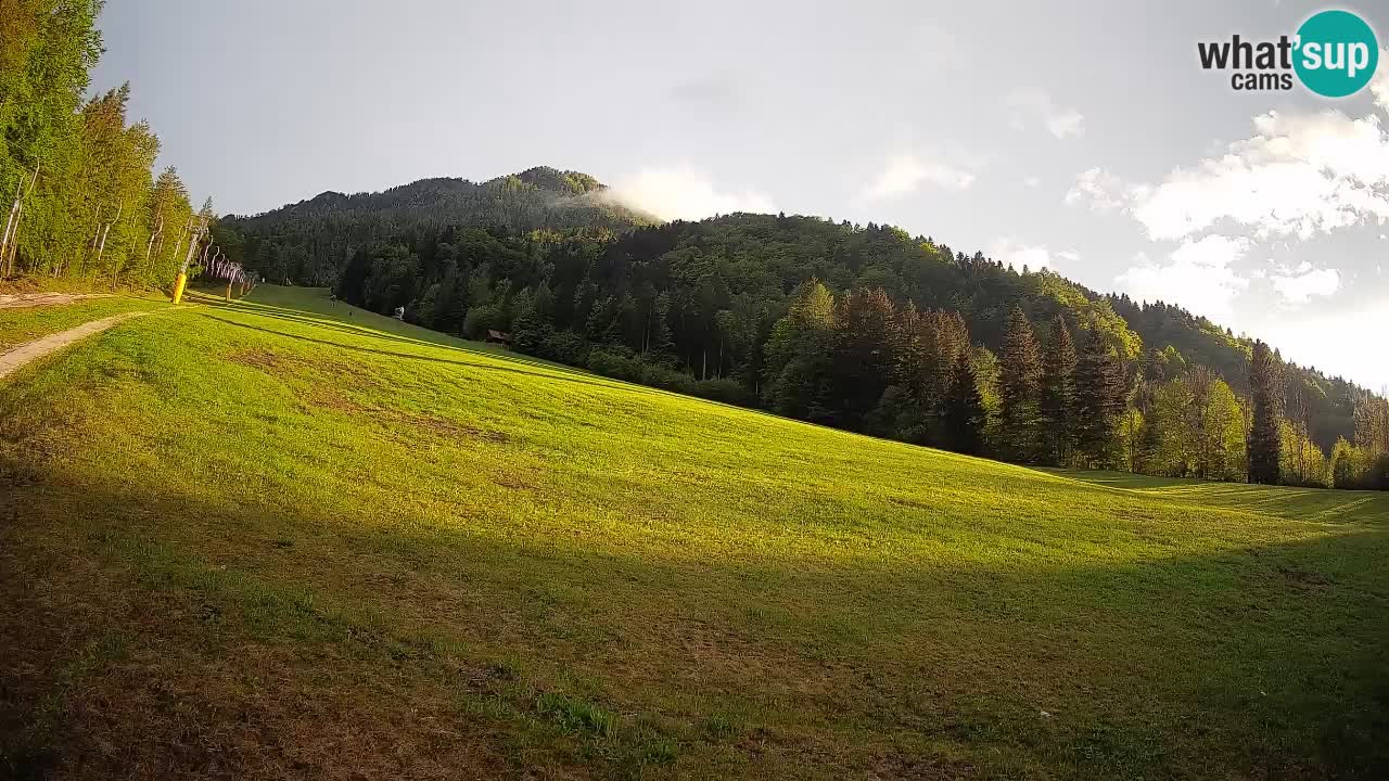 Esquí Kranjska Gora | Brsnina
