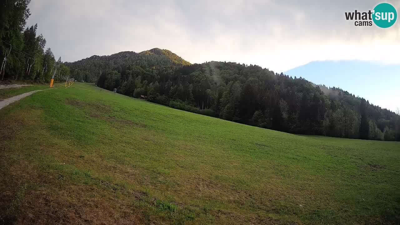 RTC Skigebiet Kranjska Gora | Brsnina