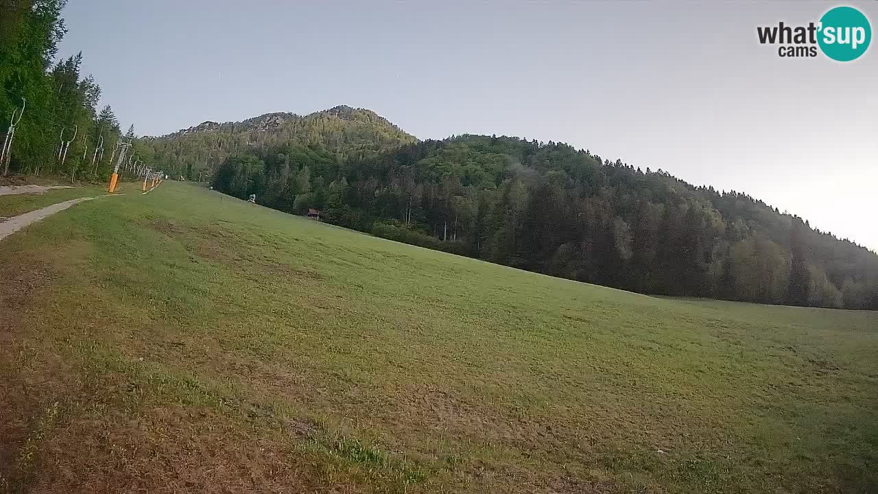 Kranjska Gora Station de ski | Brsnina