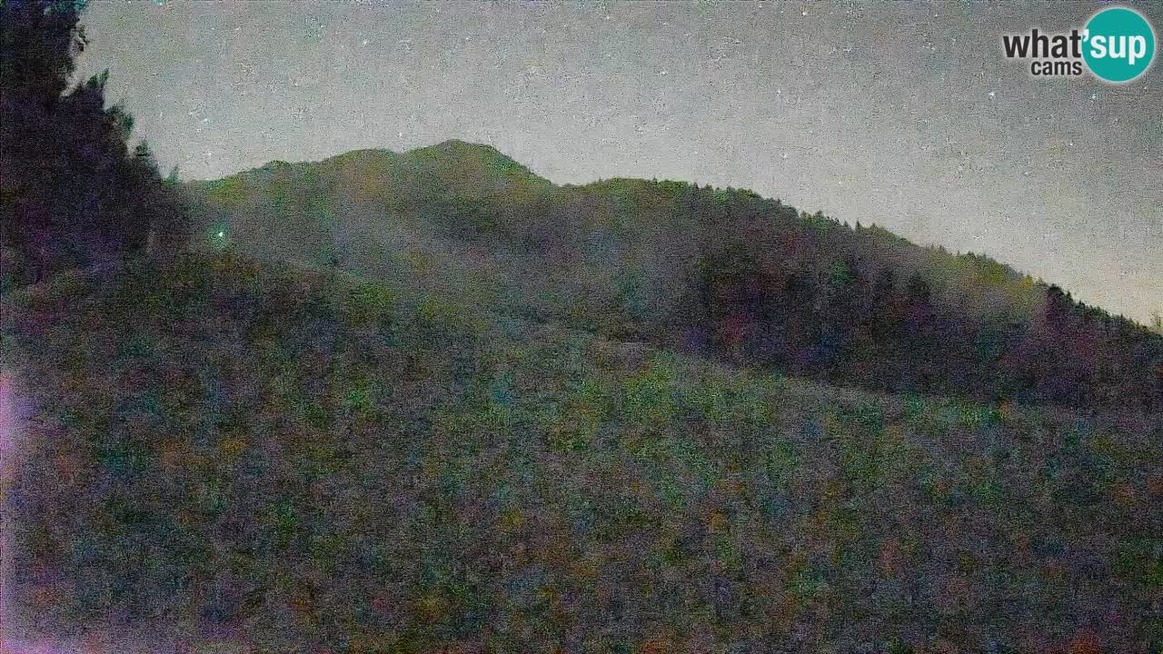 RTC Skigebiet Kranjska Gora | Brsnina