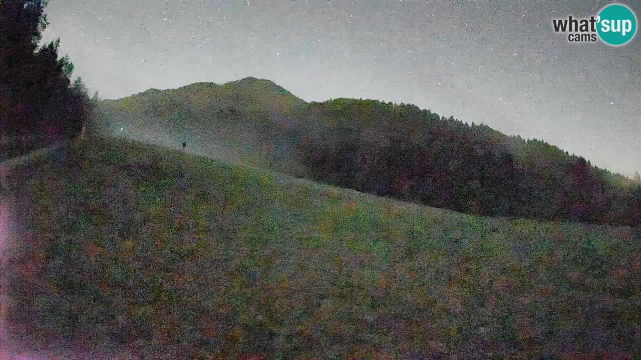 Kranjska Gora SKIJANJE | Brsnina