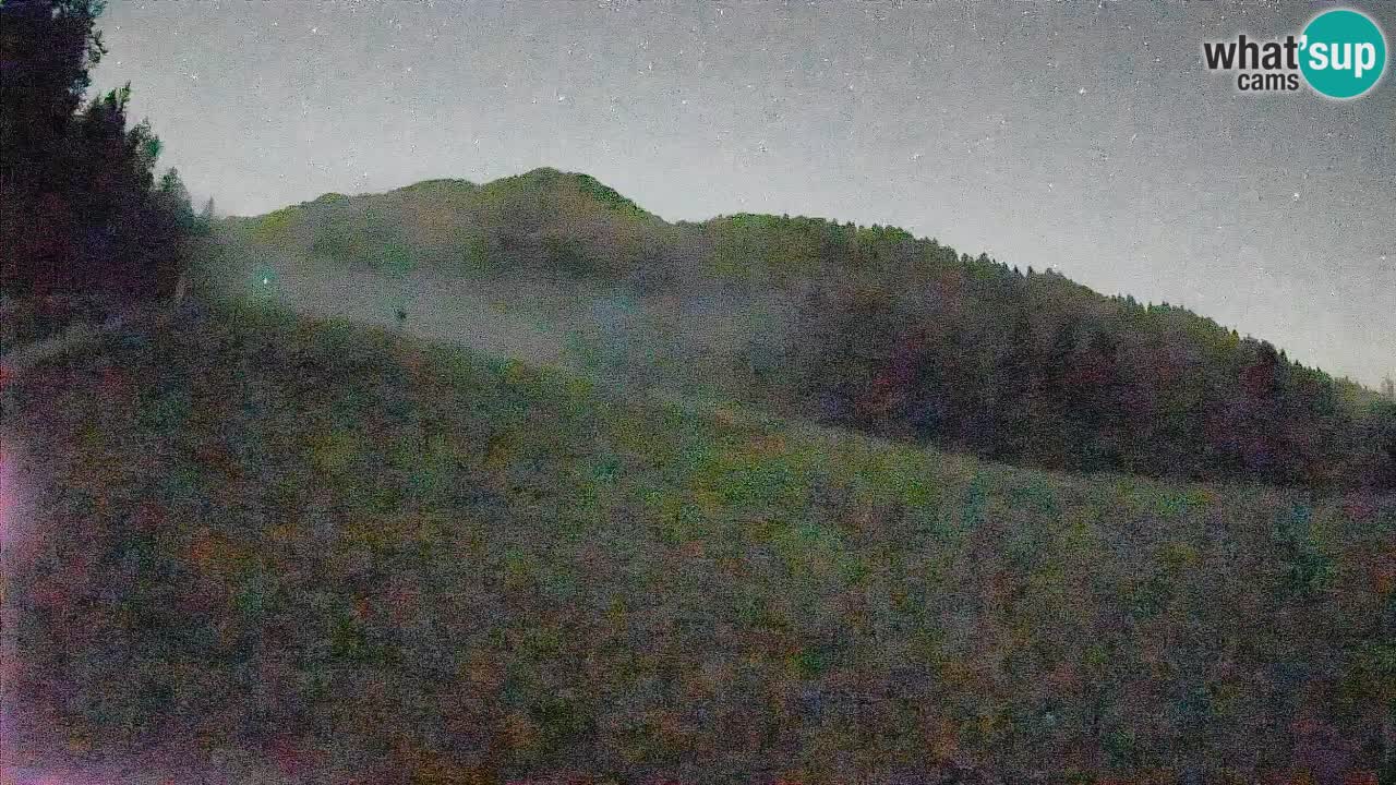 Esquí Kranjska Gora | Brsnina
