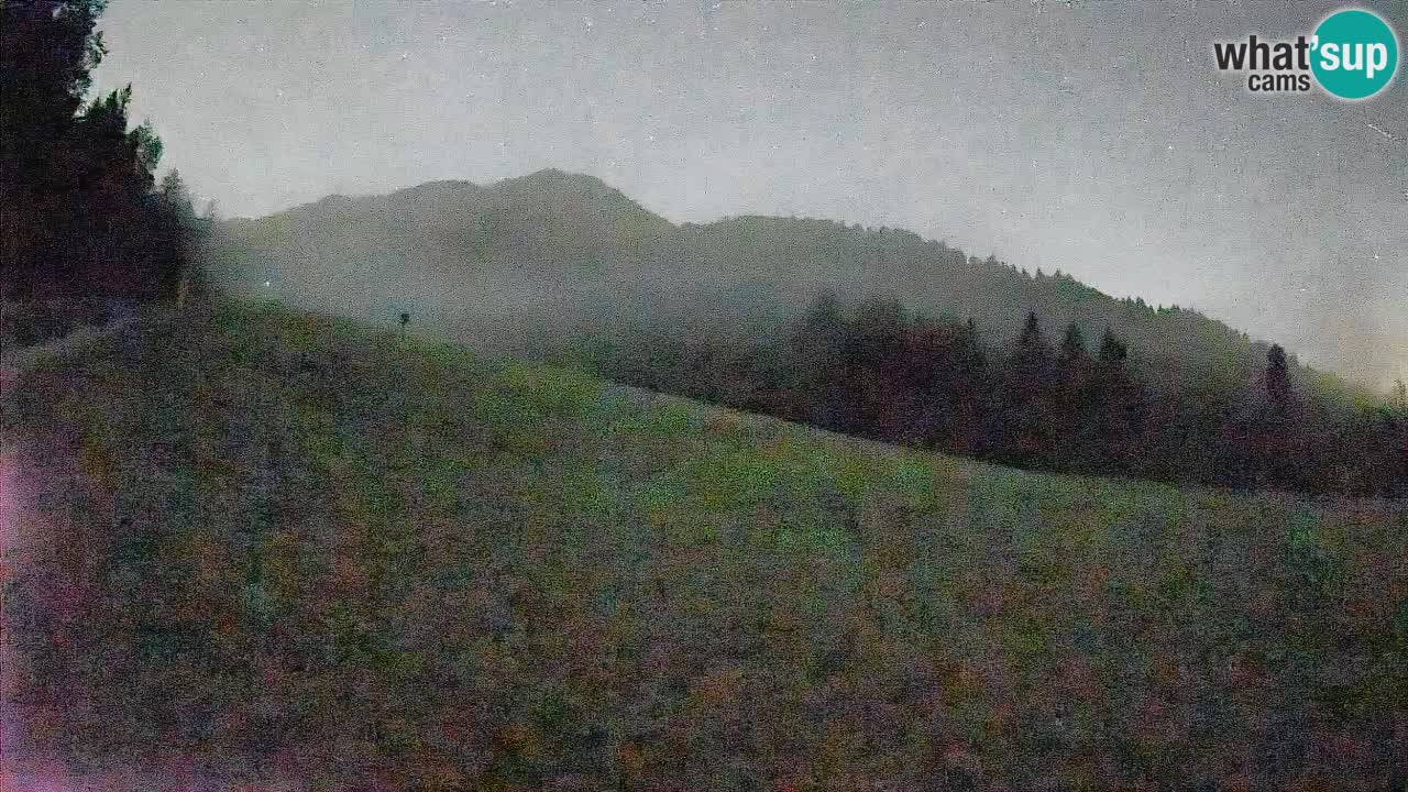 RTC Skigebiet Kranjska Gora | Brsnina