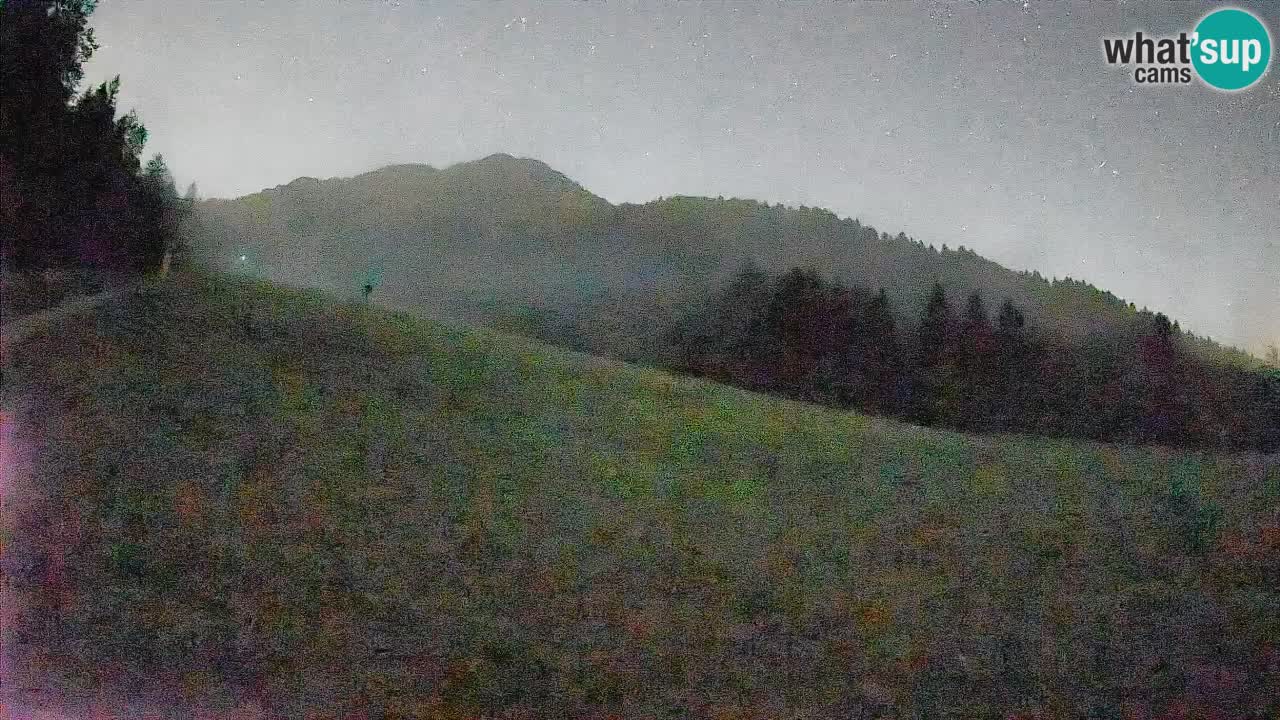 Esquí Kranjska Gora | Brsnina