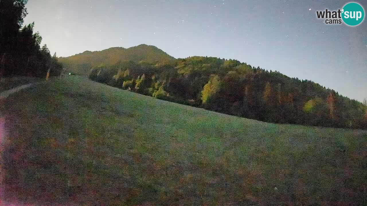 Esquí Kranjska Gora | Brsnina