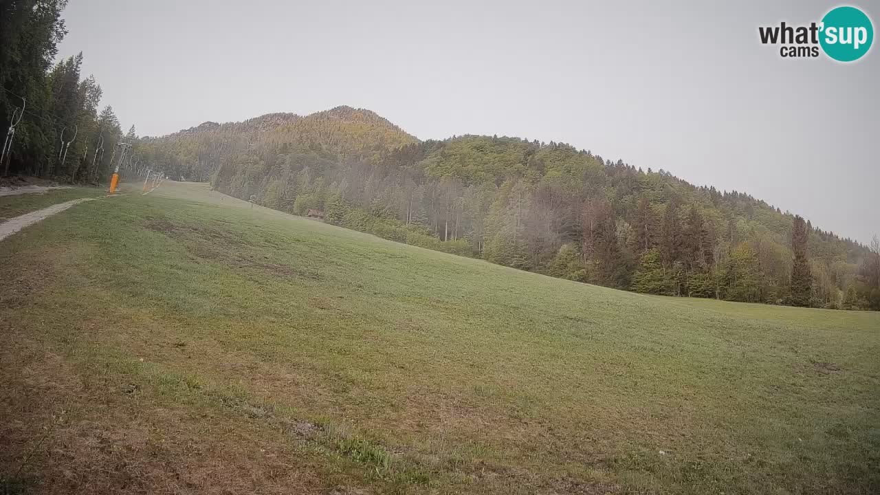 RTC Kranjska Gora | Brsnina