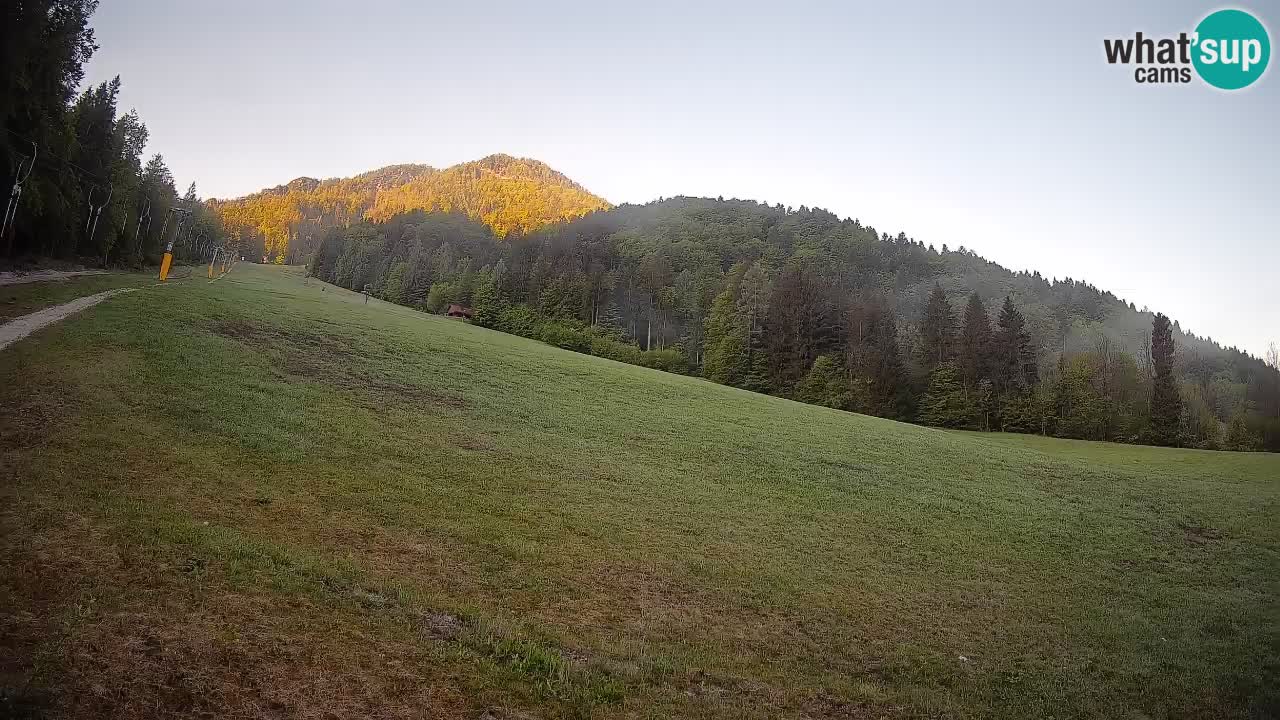 Ski Kranjska Gora | Brsnina