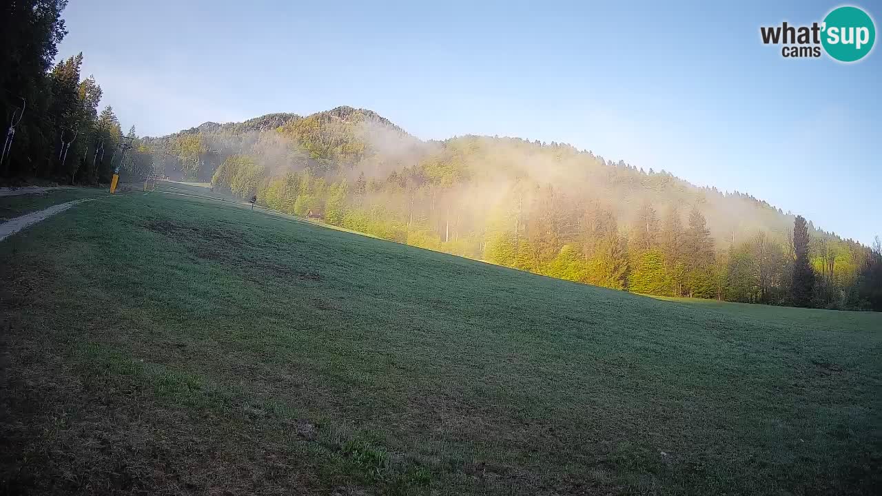 Ski Kranjska Gora | Brsnina