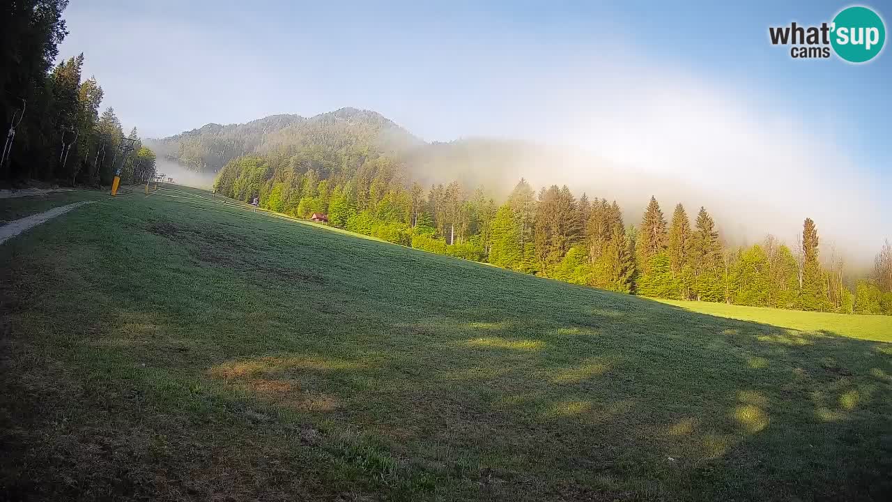 Comprensorio sciistico Kranjska Gora | Brsnina