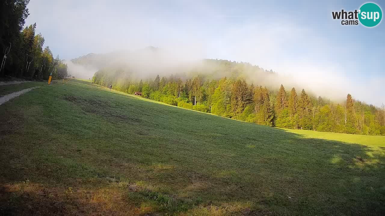 RTC Skigebiet Kranjska Gora | Brsnina