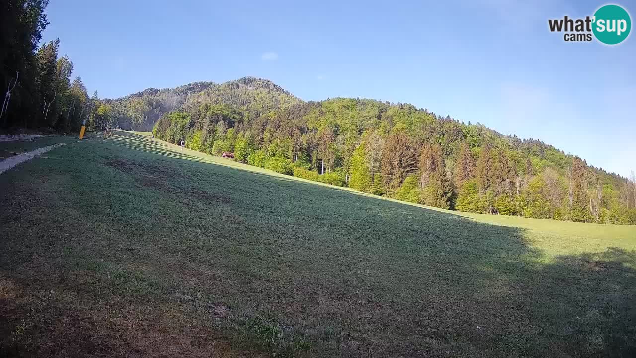 Comprensorio sciistico Kranjska Gora | Brsnina