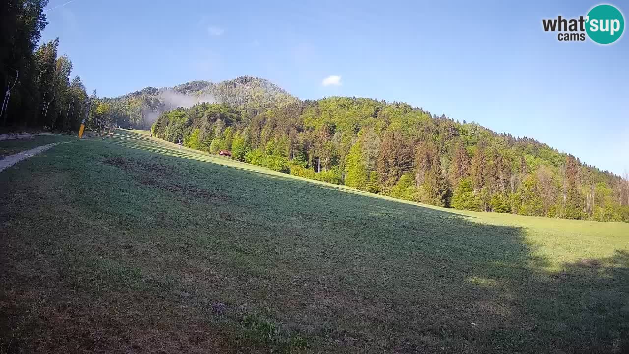 RTC Skigebiet Kranjska Gora | Brsnina