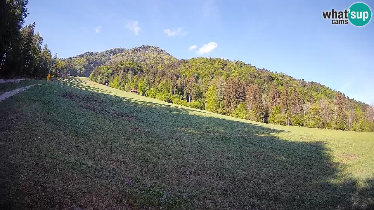 Comprensorio sciistico Kranjska Gora | Brsnina