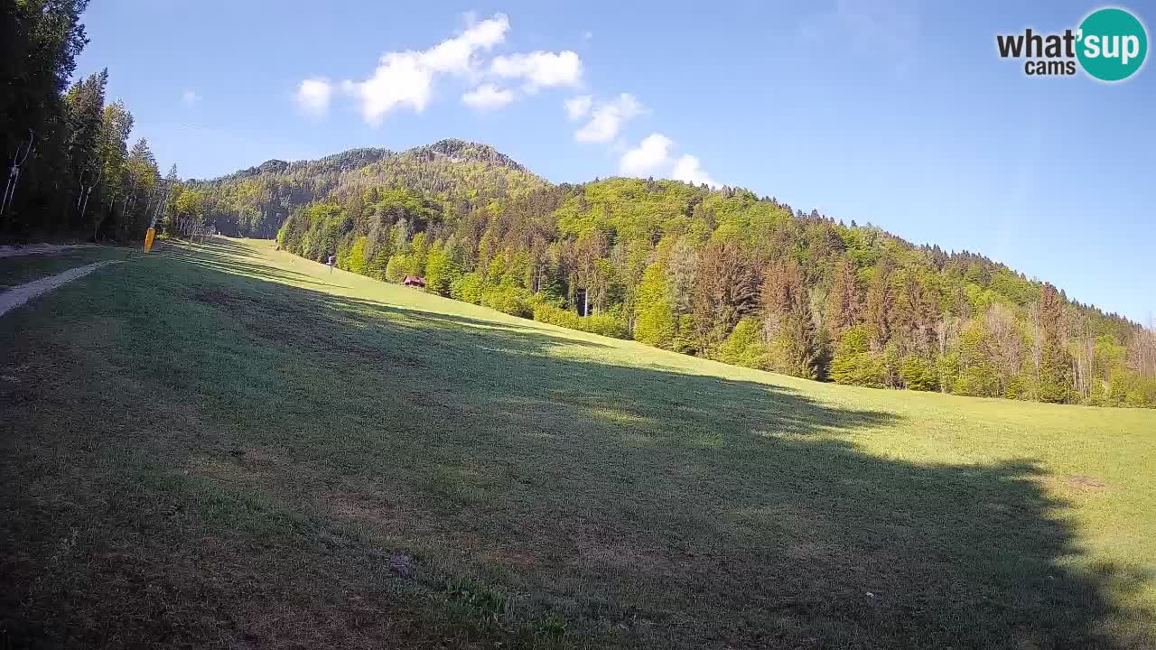 Ski Kranjska Gora | Brsnina