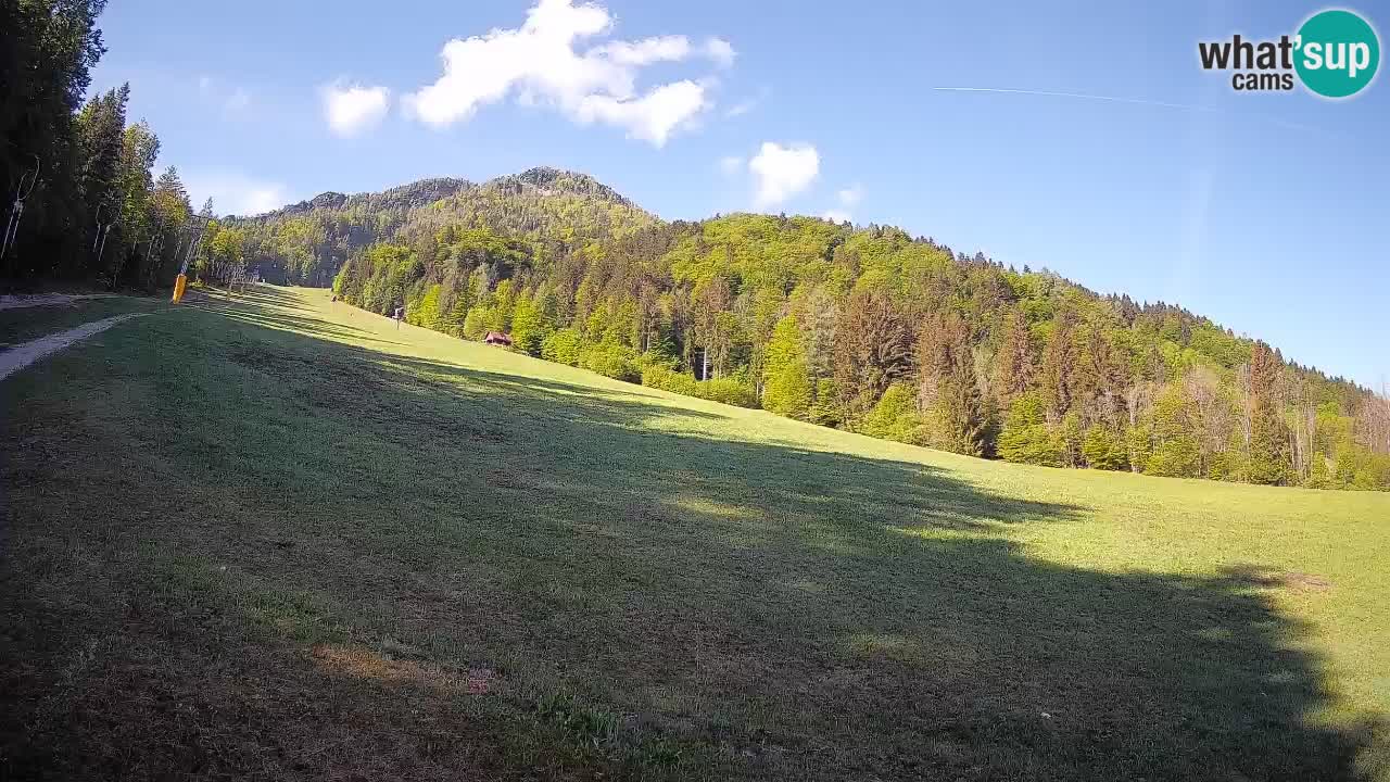 Kranjska Gora Station de ski | Brsnina