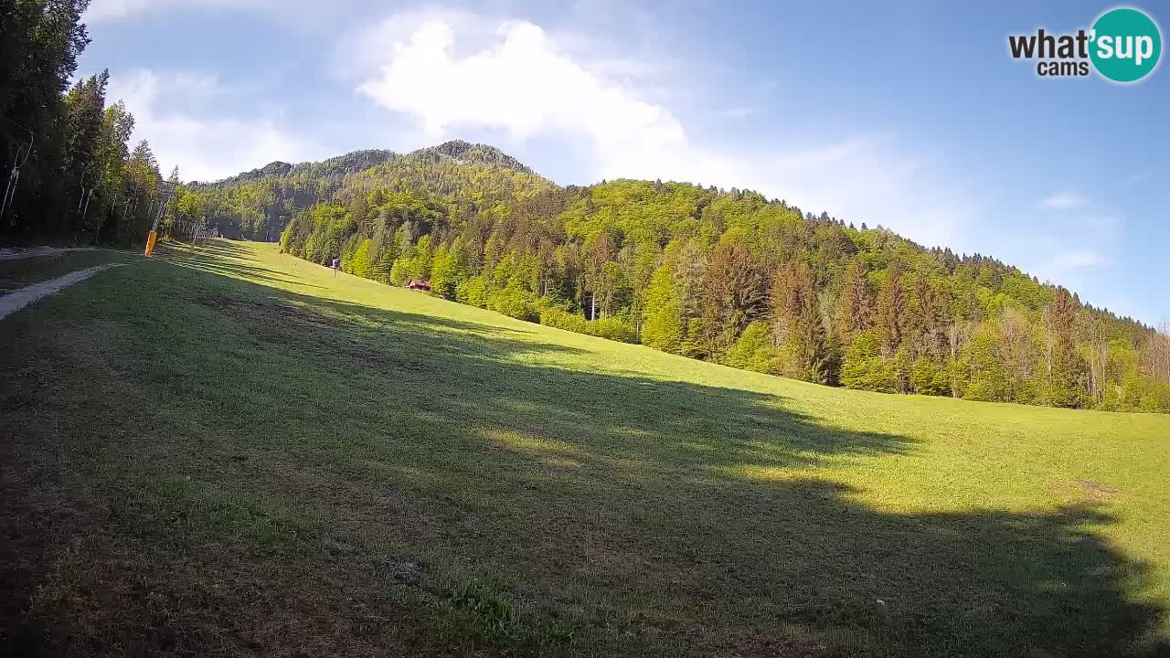 Ski Kranjska Gora | Brsnina