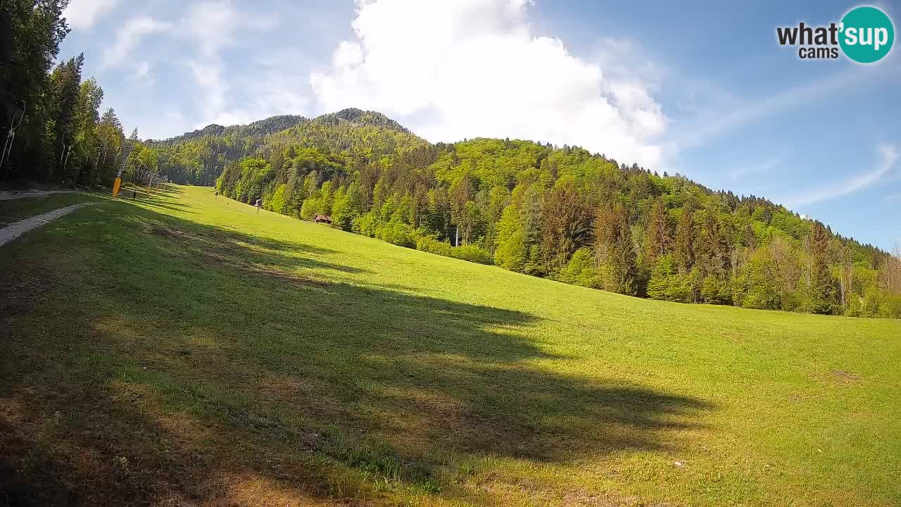 Esquí Kranjska Gora | Brsnina