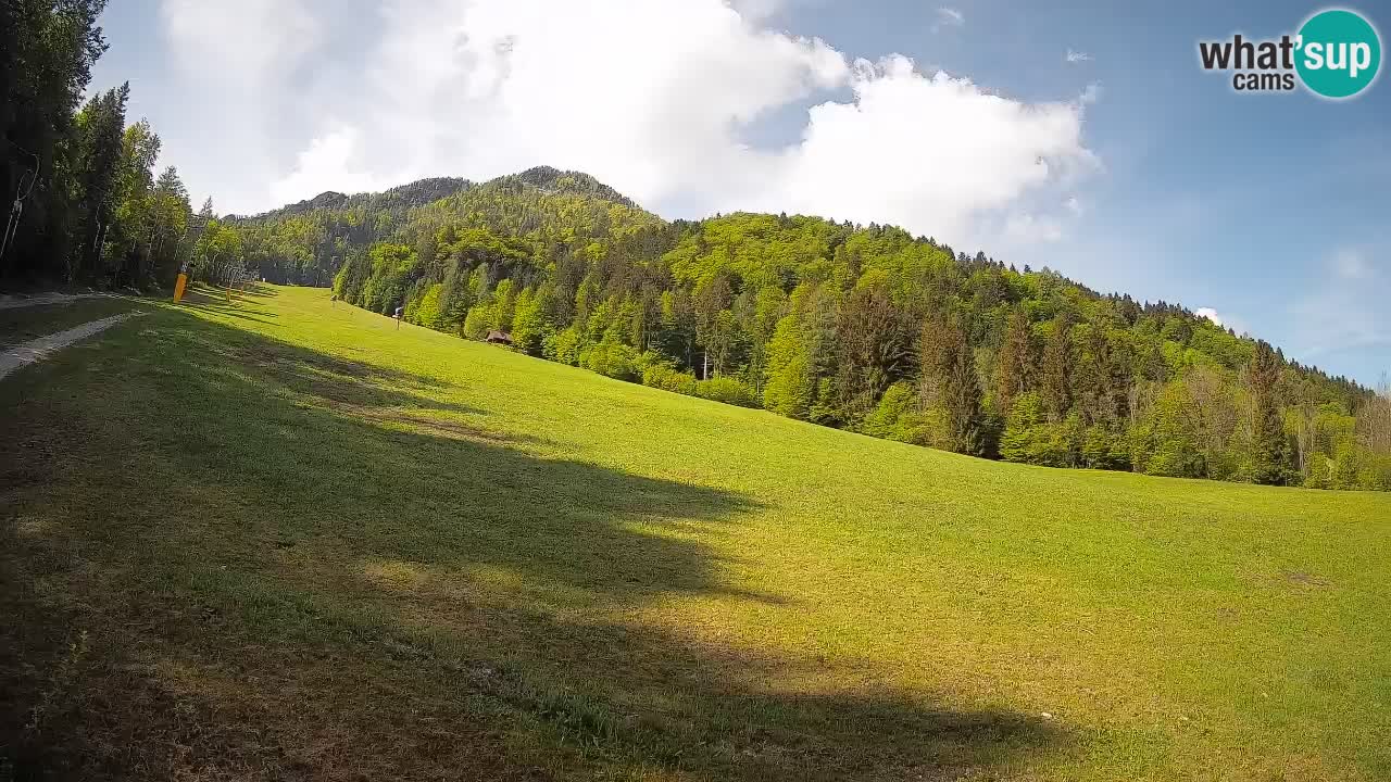 Esquí Kranjska Gora | Brsnina