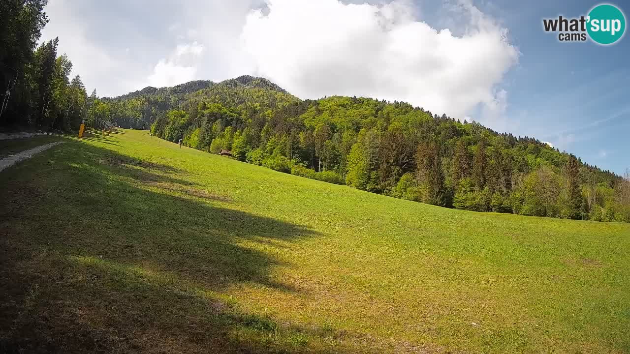 Esquí Kranjska Gora | Brsnina