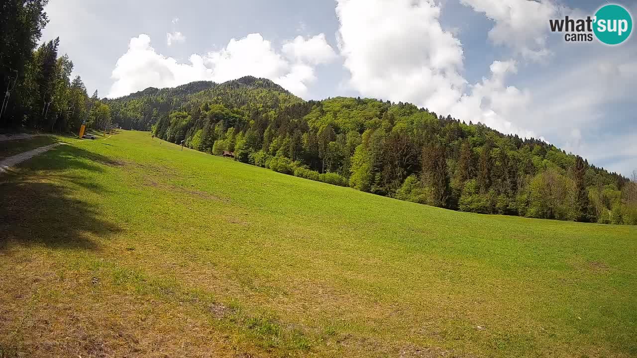 RTC Kranjska Gora | Brsnina