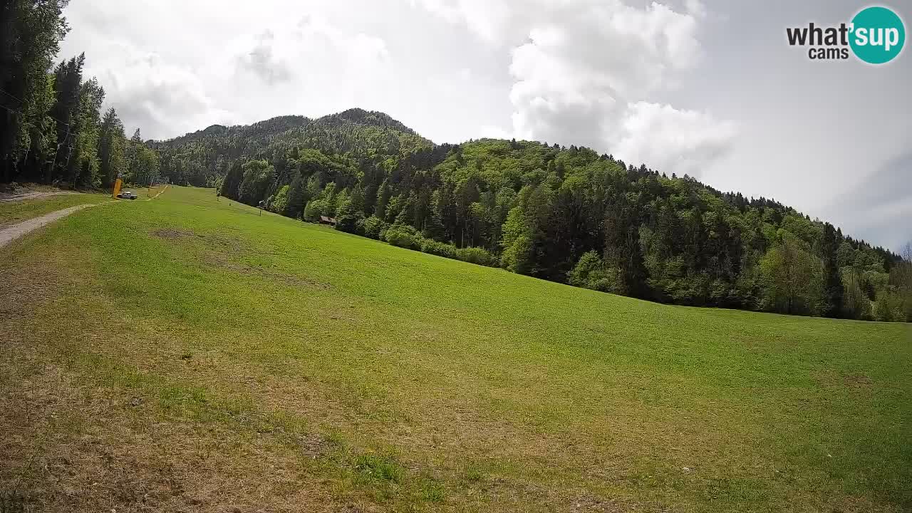 RTC Skigebiet Kranjska Gora | Brsnina