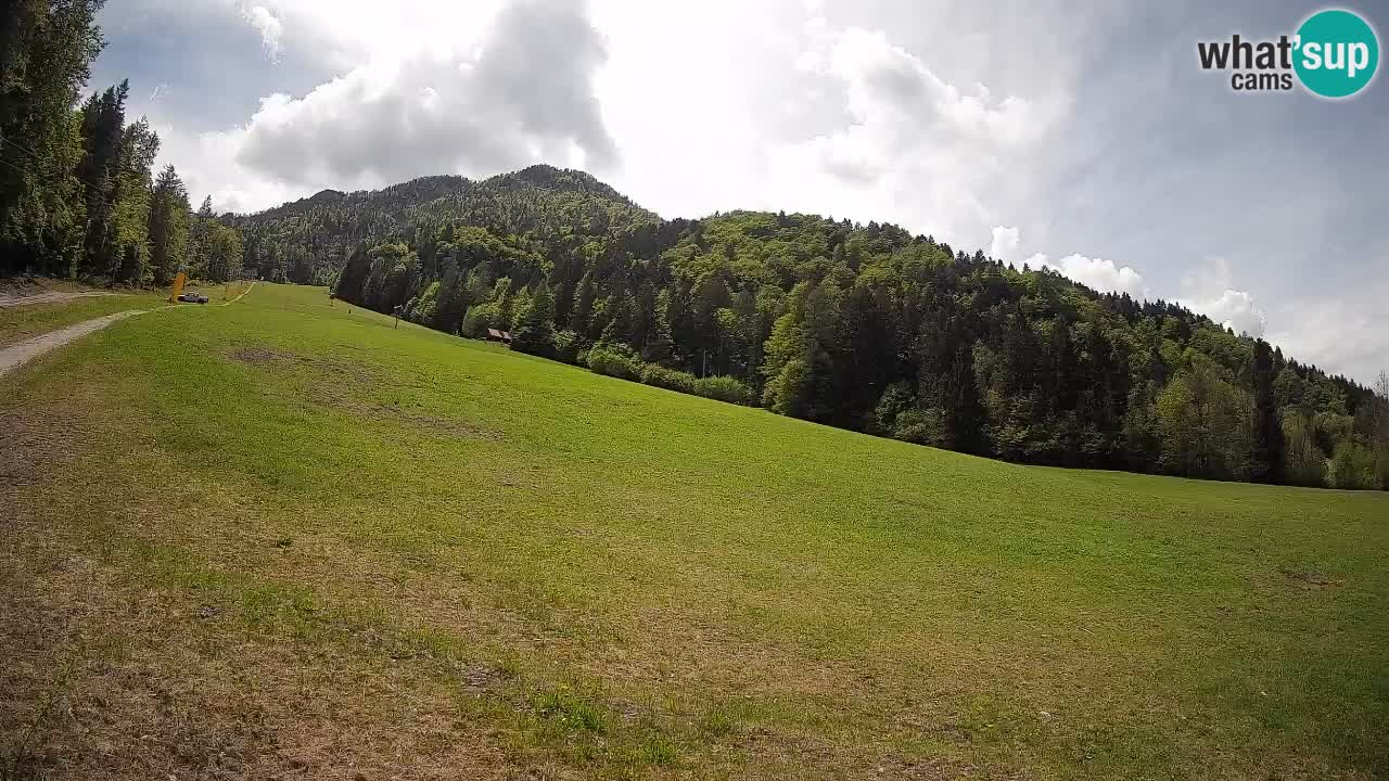 Ski Kranjska Gora | Brsnina