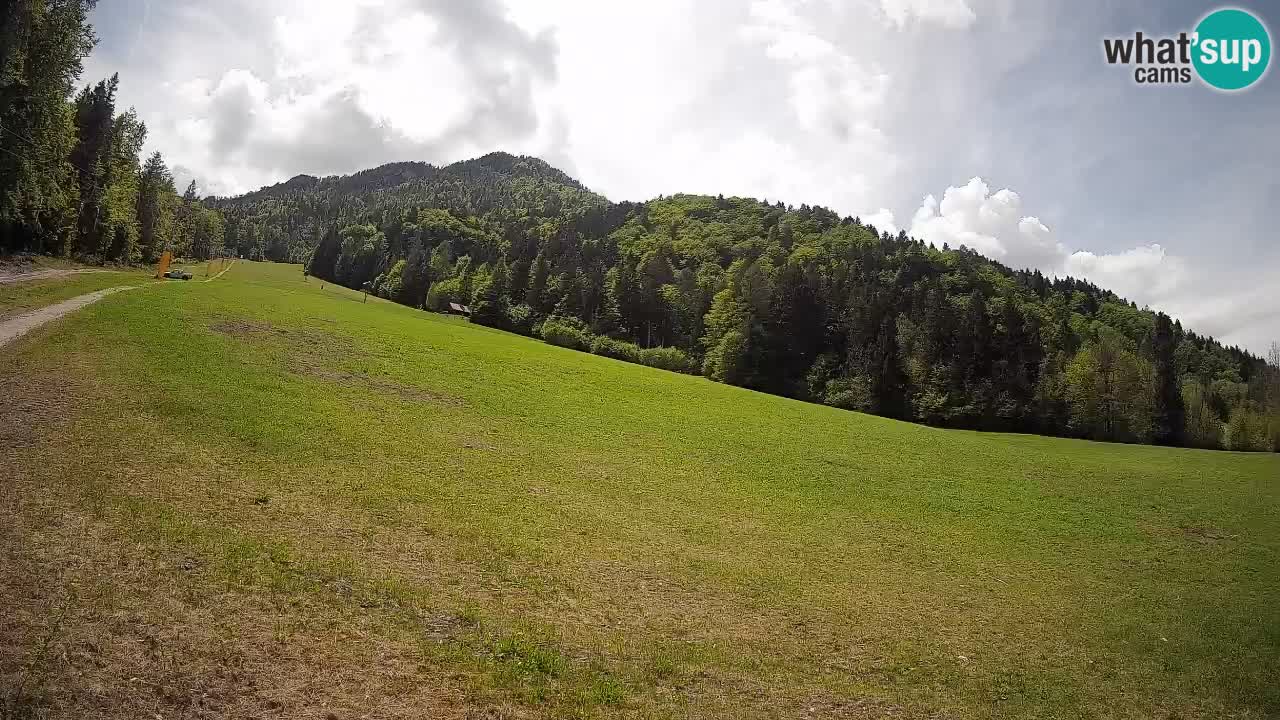 Ski Kranjska Gora | Brsnina
