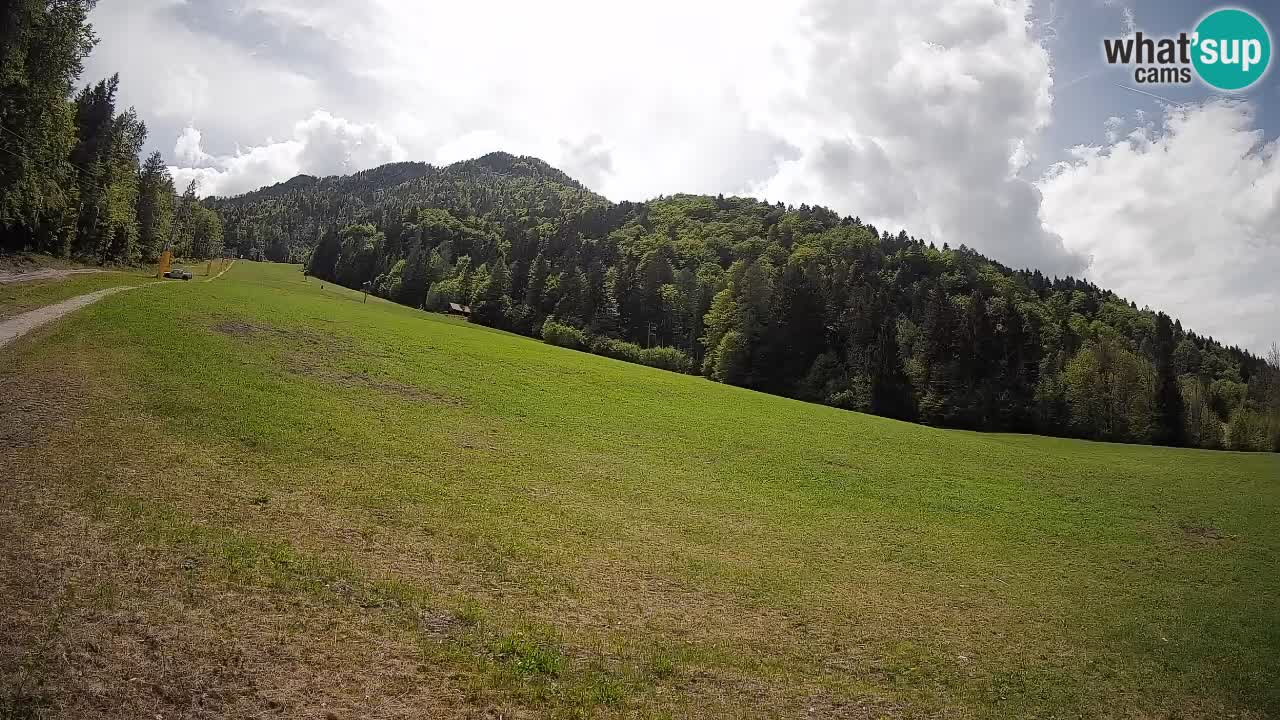 Ski Kranjska Gora | Brsnina