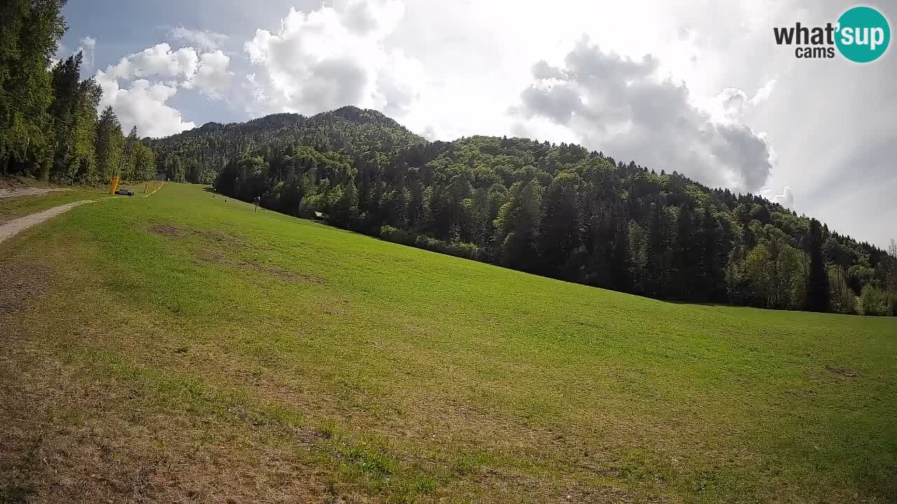 Kranjska Gora SKIJANJE | Brsnina