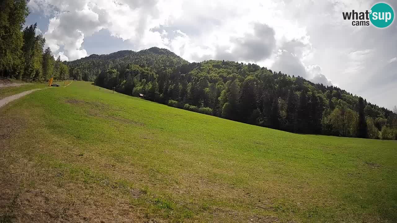 Ski Kranjska Gora | Brsnina