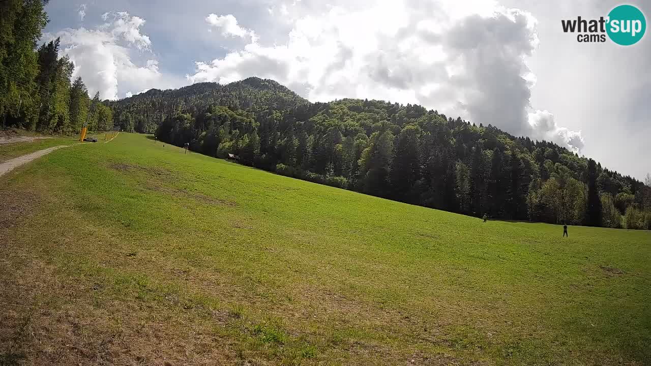Kranjska Gora Station de ski | Brsnina
