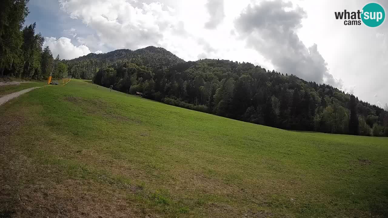 Esquí Kranjska Gora | Brsnina