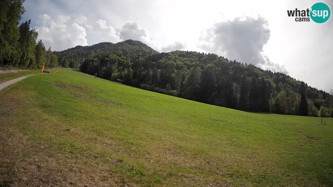 Ski Kranjska Gora | Brsnina