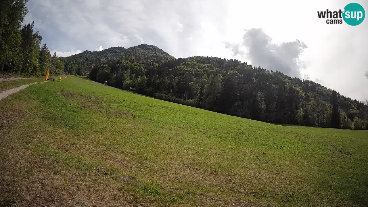 Kranjska Gora SKIJANJE | Brsnina