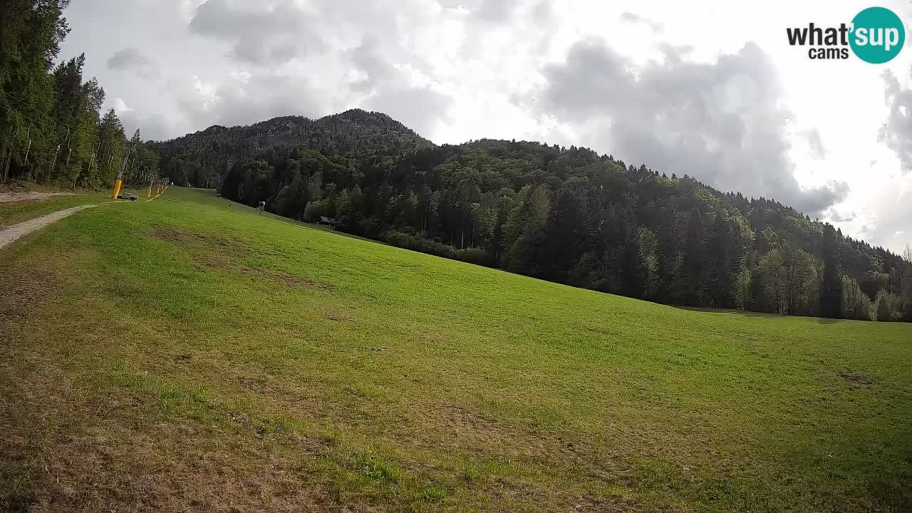 RTC Skigebiet Kranjska Gora | Brsnina