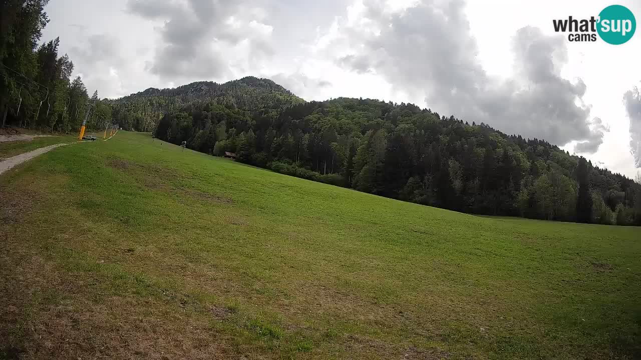 Kranjska Gora Station de ski | Brsnina