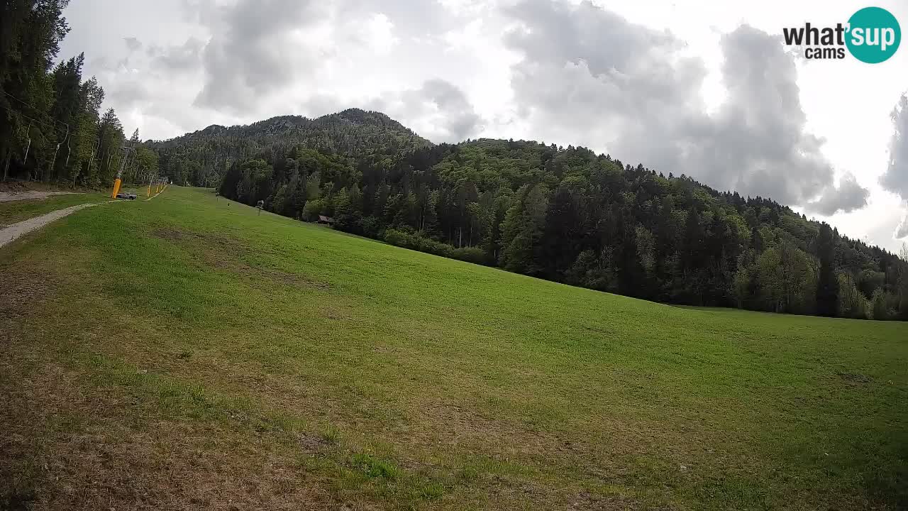 Comprensorio sciistico Kranjska Gora | Brsnina