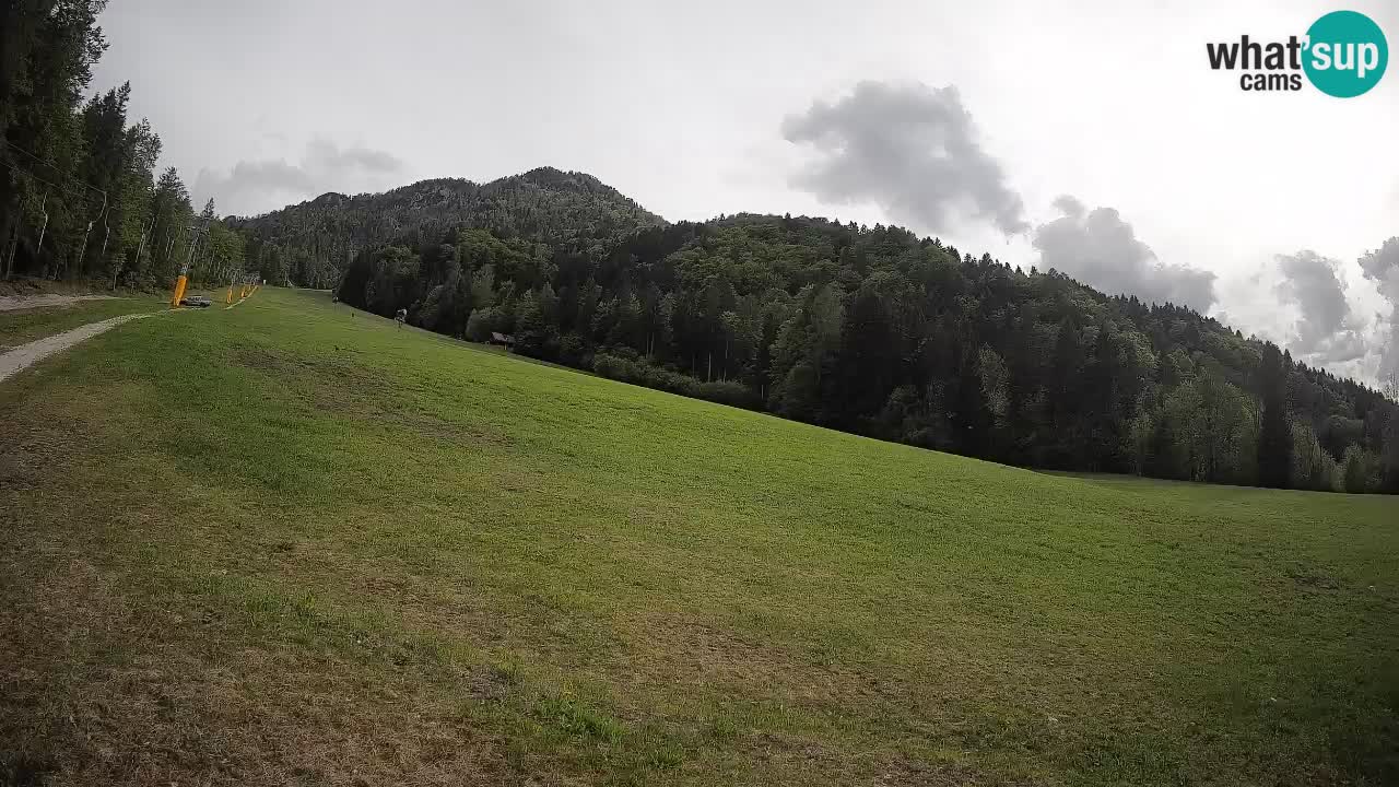 Esquí Kranjska Gora | Brsnina